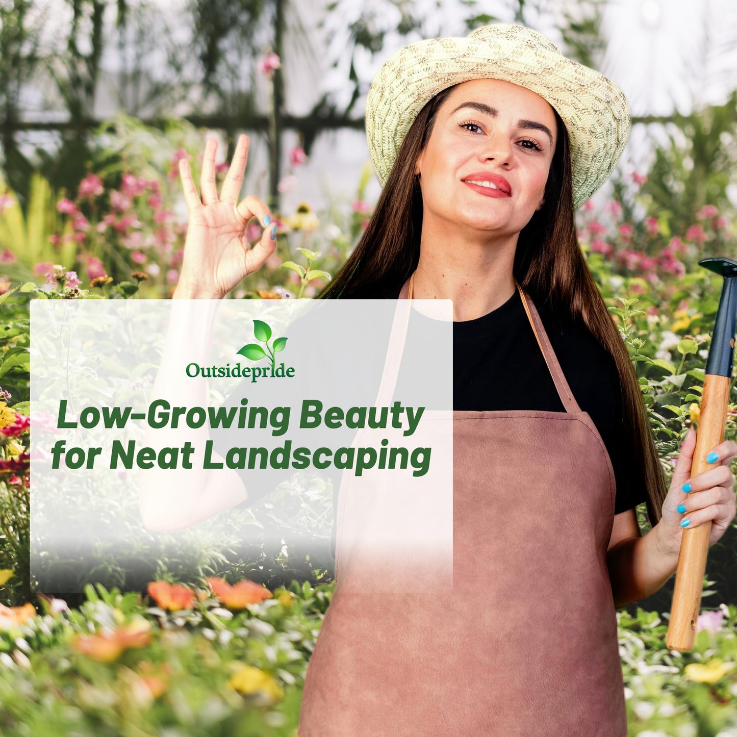 Outsidepride Low Growing Wildflower Seeds - 1/4 lb Dwarf, & Short, Diverse Perennial & Annual Wild Flower Seed Mix with Long Bloom Season for Colorful Display That Thrives on All States