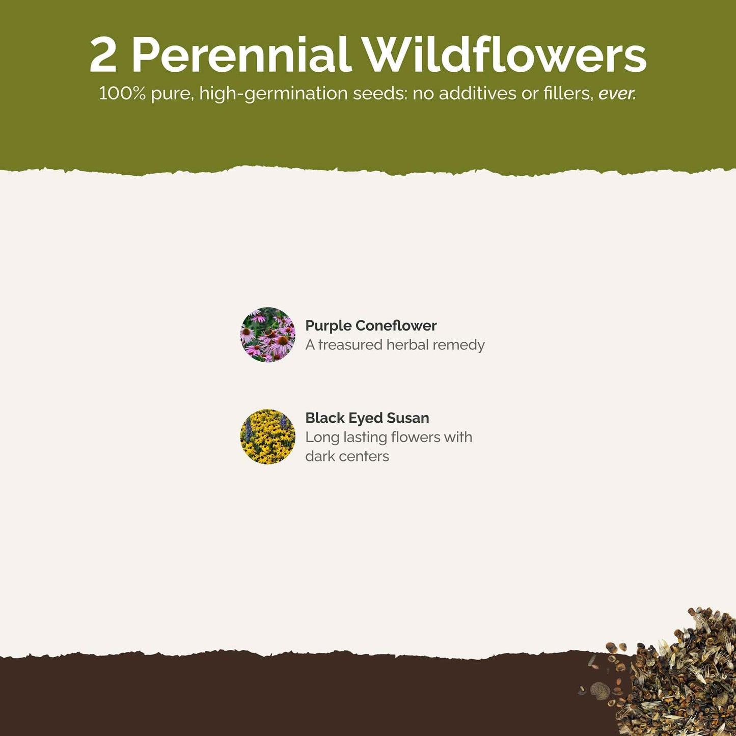 Eden Brothers All Perennial Wildflower Mixed Seeds for Planting, 1/4 lb, 120,000+ Seeds with Lupine, Shasta Daisy | Attracts Pollinators, Plant in Spring or Fall, Zones 3, 4, 5, 6, 7, 8, 9, 10