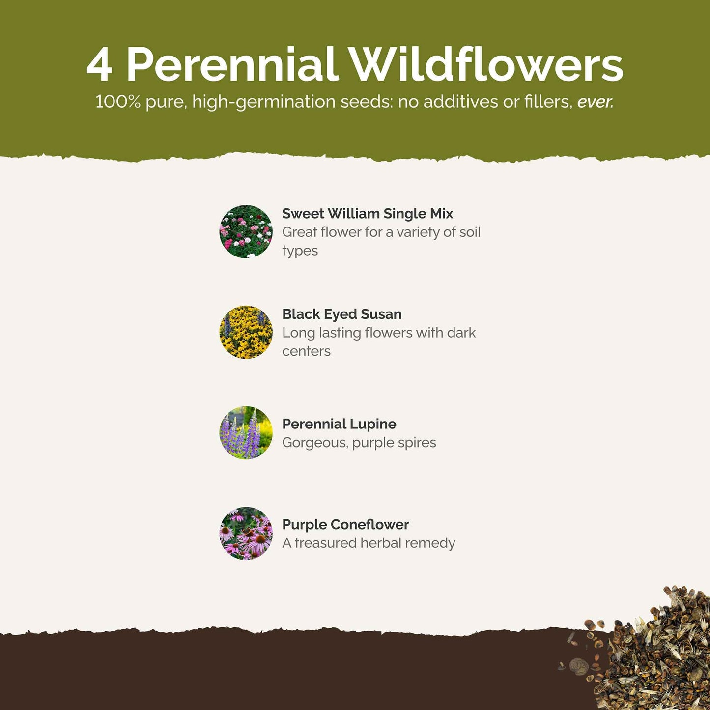 Eden Brothers All Perennial Wildflower Mixed Seeds for Planting, 1/4 lb, 120,000+ Seeds with Lupine, Shasta Daisy | Attracts Pollinators, Plant in Spring or Fall, Zones 3, 4, 5, 6, 7, 8, 9, 10