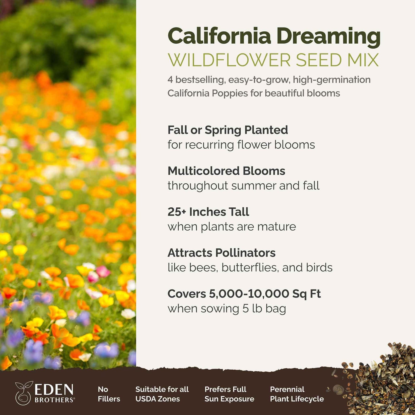 Eden Brothers All Perennial Wildflower Mixed Seeds for Planting, 1/4 lb, 120,000+ Seeds with Lupine, Shasta Daisy | Attracts Pollinators, Plant in Spring or Fall, Zones 3, 4, 5, 6, 7, 8, 9, 10