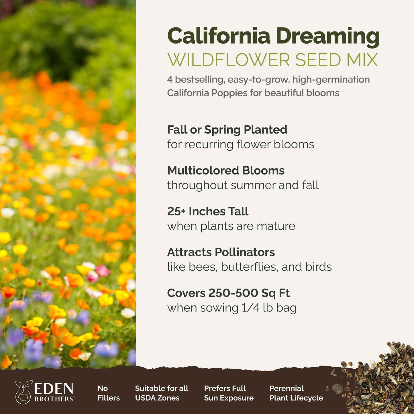 Eden Brothers All Perennial Wildflower Mixed Seeds for Planting, 1/4 lb, 120,000+ Seeds with Lupine, Shasta Daisy | Attracts Pollinators, Plant in Spring or Fall, Zones 3, 4, 5, 6, 7, 8, 9, 10