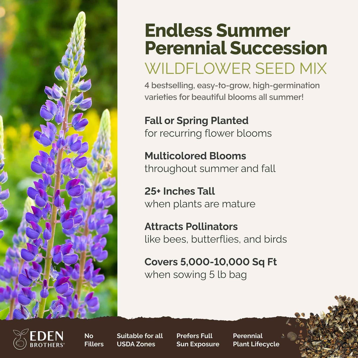 Eden Brothers All Perennial Wildflower Mixed Seeds for Planting, 1/4 lb, 120,000+ Seeds with Lupine, Shasta Daisy | Attracts Pollinators, Plant in Spring or Fall, Zones 3, 4, 5, 6, 7, 8, 9, 10