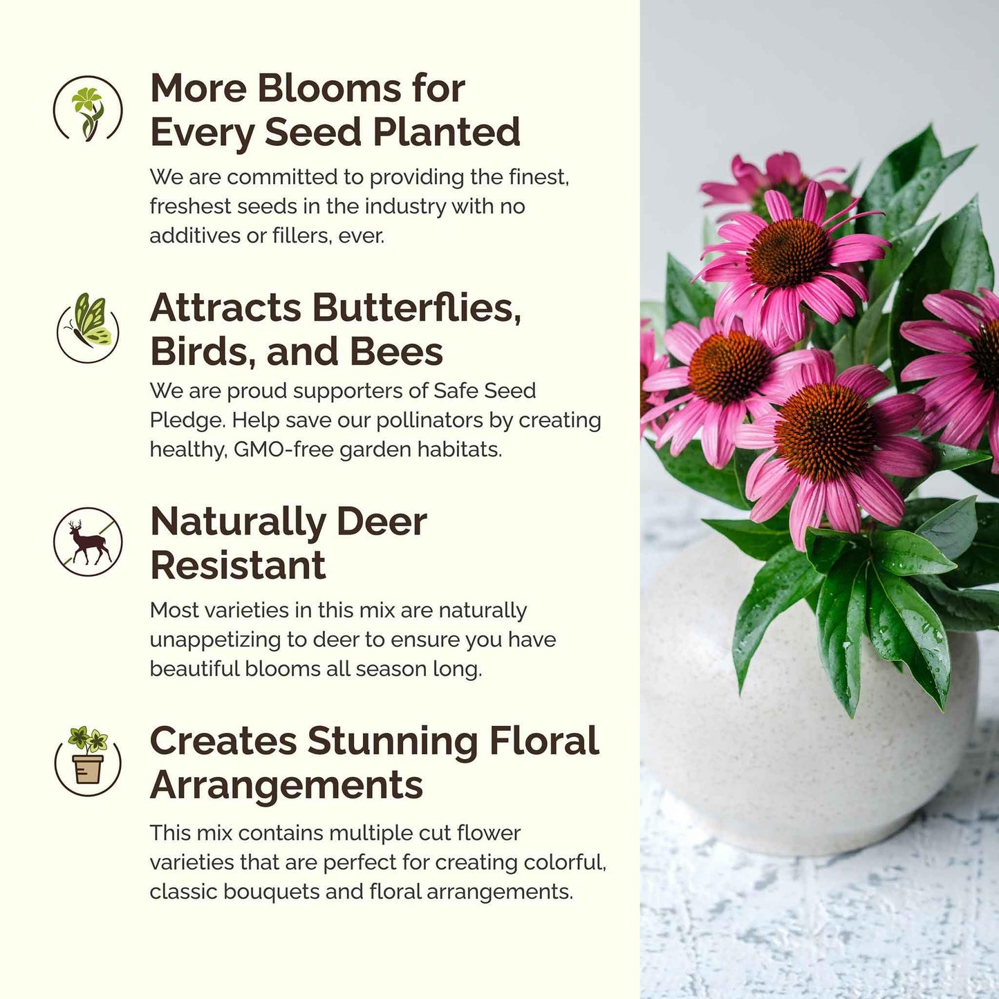 Eden Brothers All Perennial Wildflower Mixed Seeds for Planting, 1/4 lb, 120,000+ Seeds with Lupine, Shasta Daisy | Attracts Pollinators, Plant in Spring or Fall, Zones 3, 4, 5, 6, 7, 8, 9, 10