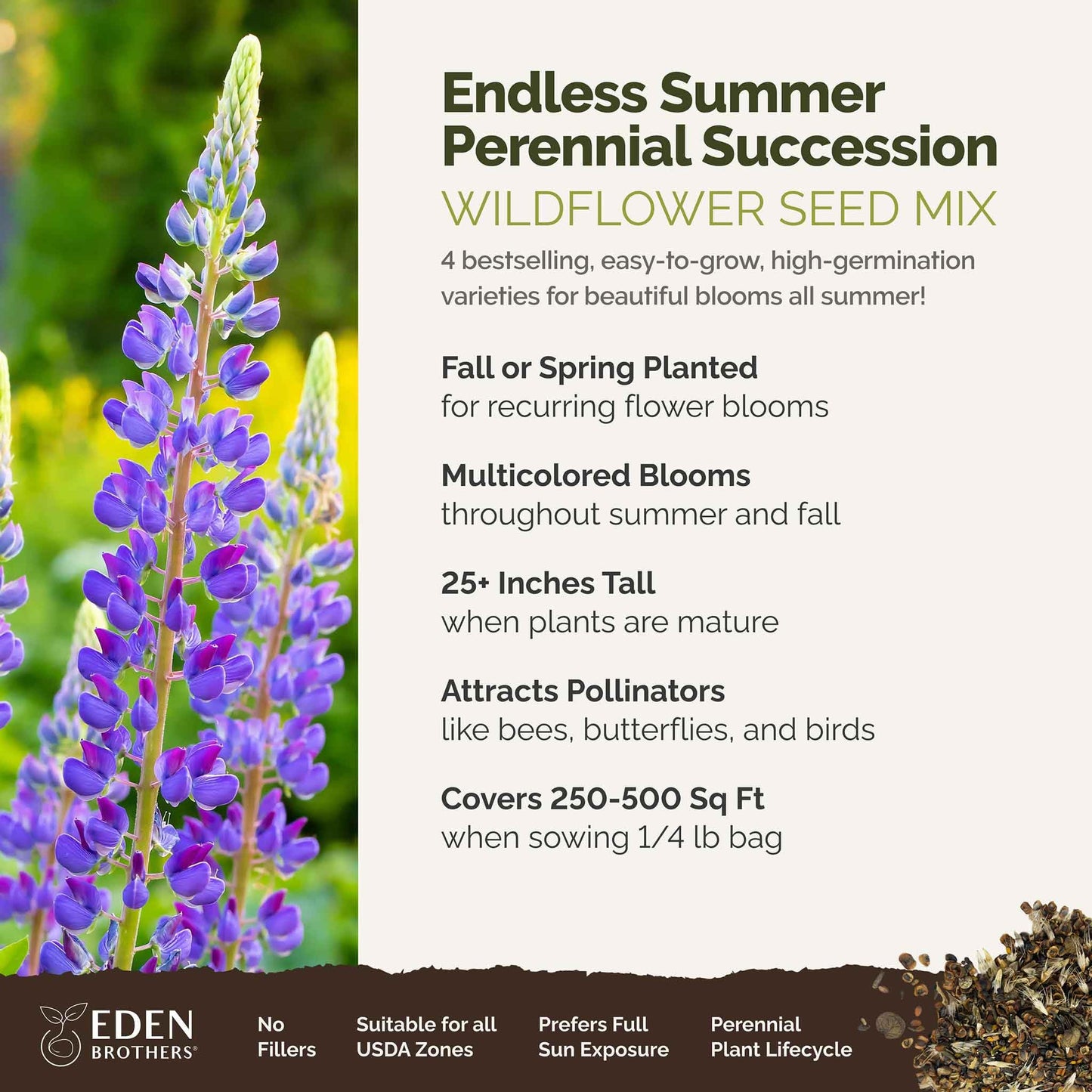 Eden Brothers All Perennial Wildflower Mixed Seeds for Planting, 1/4 lb, 120,000+ Seeds with Lupine, Shasta Daisy | Attracts Pollinators, Plant in Spring or Fall, Zones 3, 4, 5, 6, 7, 8, 9, 10