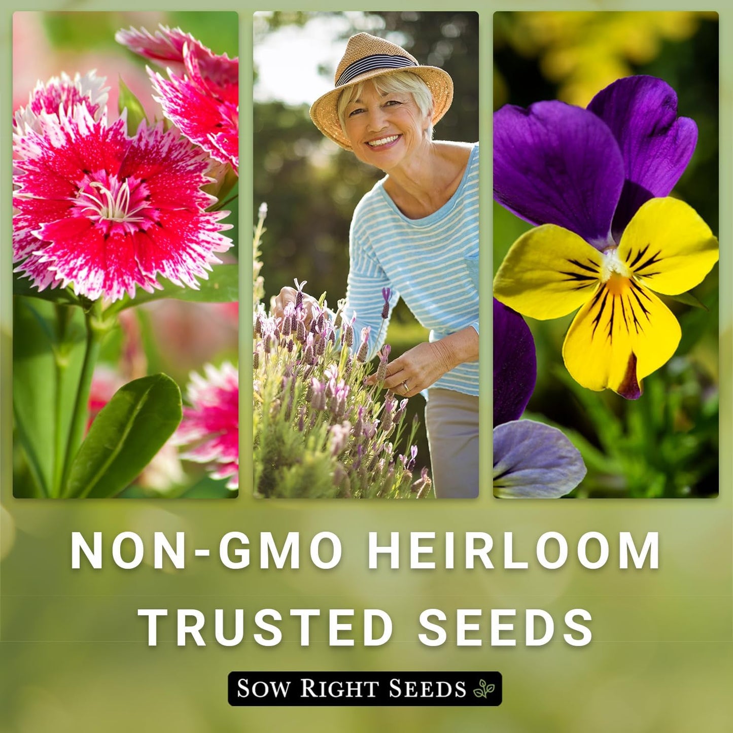 Sow Right Seeds - Wildflowers Seeds Mix for Planting in Northwest - Non-GMO Heirloom Varieties to Grow a Wild Flower Garden - Perennial and Annual Flowers to Attract Pollinators - Colorful Blooms (1)