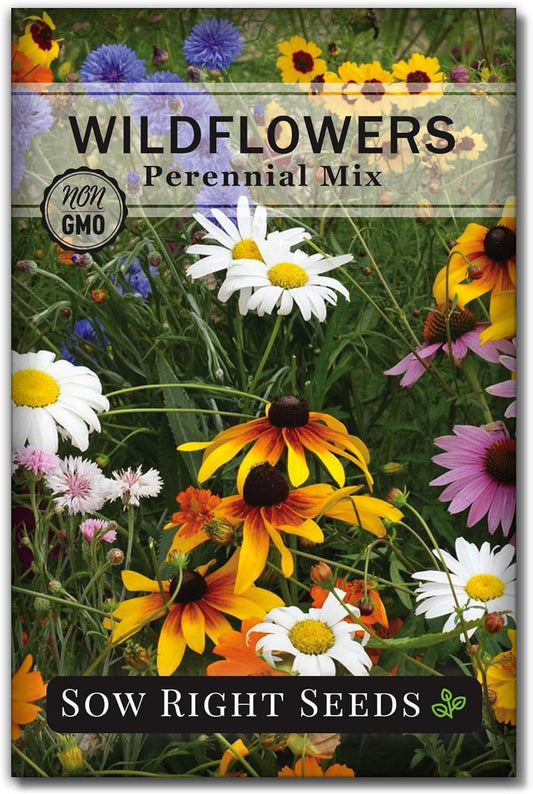 Sow Right Seeds - Perennial Wildflowers Seeds Mix for Planting - Non-GMO Heirloom Packet with Instructions to Plant & Grow a Wild Flower Garden - Colorful Blooms That Will Return Year After Year (1)