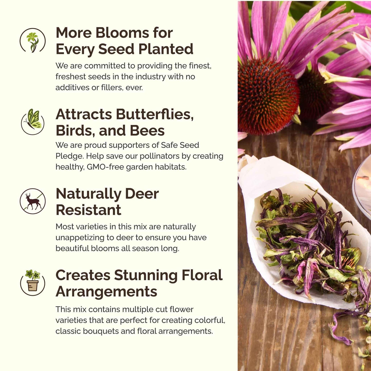 Eden Brothers All Perennial Wildflower Mixed Seeds for Planting, 1/4 lb, 120,000+ Seeds with Lupine, Shasta Daisy | Attracts Pollinators, Plant in Spring or Fall, Zones 3, 4, 5, 6, 7, 8, 9, 10