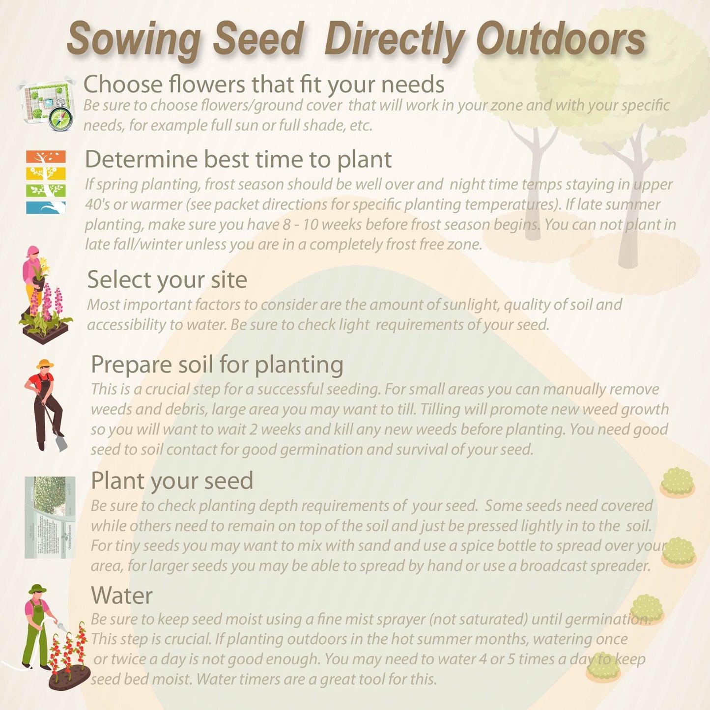 Outsidepride Low Growing Wildflower Seeds - 1/4 lb Dwarf, & Short, Diverse Perennial & Annual Wild Flower Seed Mix with Long Bloom Season for Colorful Display That Thrives on All States