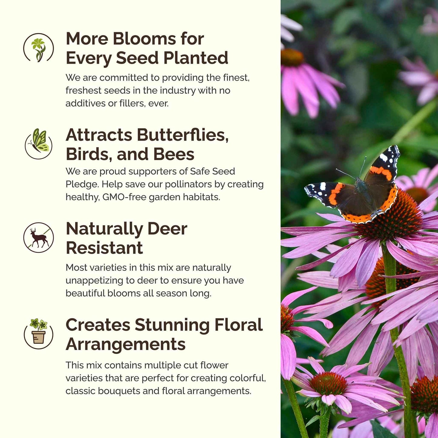 Eden Brothers All Perennial Wildflower Mixed Seeds for Planting, 1/4 lb, 120,000+ Seeds with Lupine, Shasta Daisy | Attracts Pollinators, Plant in Spring or Fall, Zones 3, 4, 5, 6, 7, 8, 9, 10