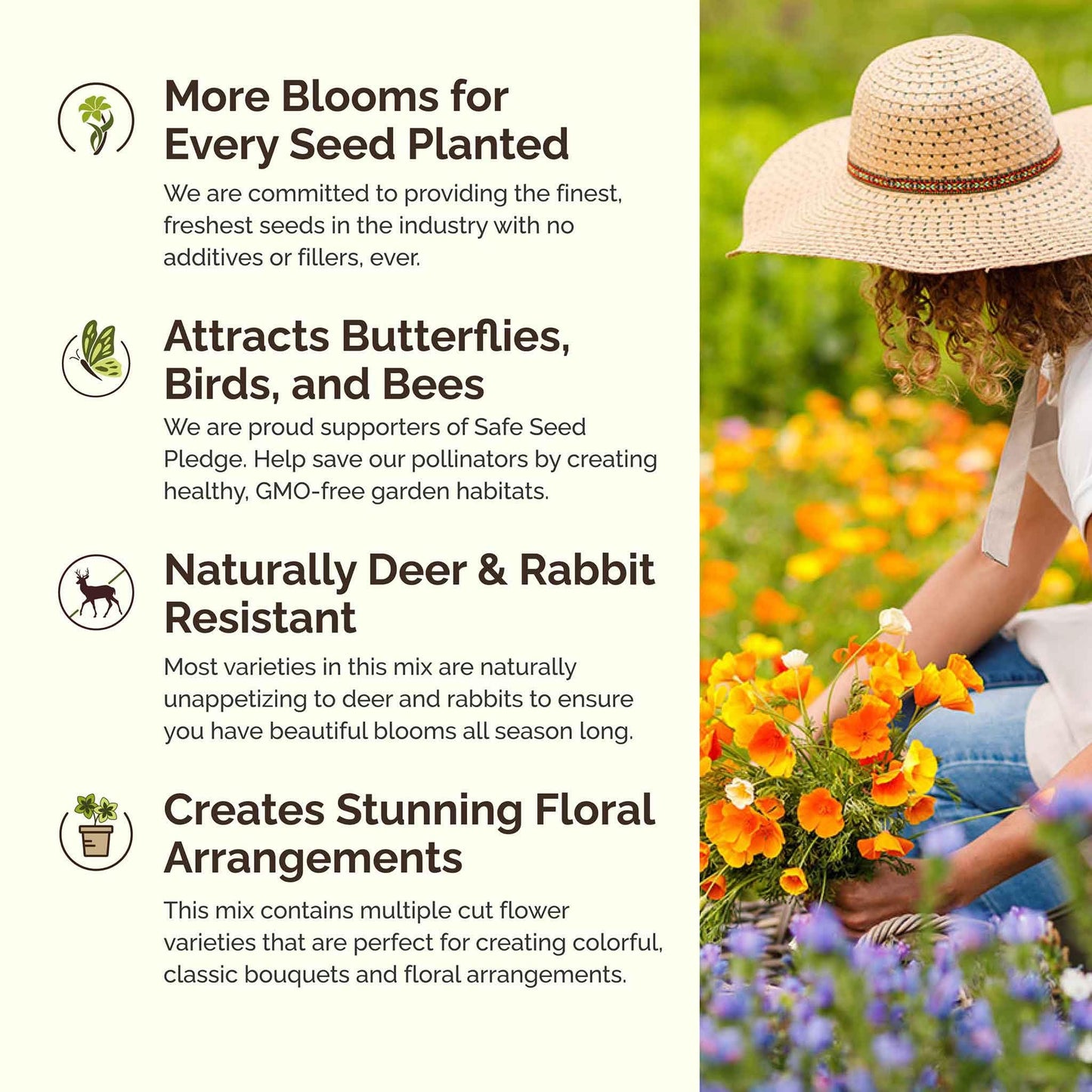 Eden Brothers All Perennial Wildflower Mixed Seeds for Planting, 1/4 lb, 120,000+ Seeds with Lupine, Shasta Daisy | Attracts Pollinators, Plant in Spring or Fall, Zones 3, 4, 5, 6, 7, 8, 9, 10