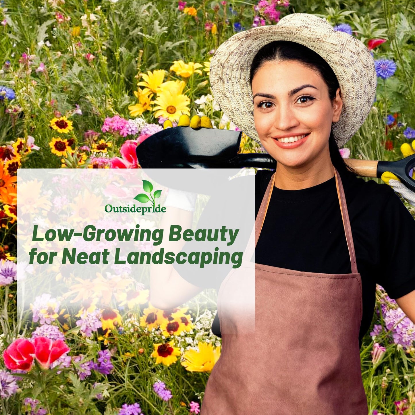 Outsidepride Low Growing Wildflower Seeds - 1/4 lb Dwarf, & Short, Diverse Perennial & Annual Wild Flower Seed Mix with Long Bloom Season for Colorful Display That Thrives on All States