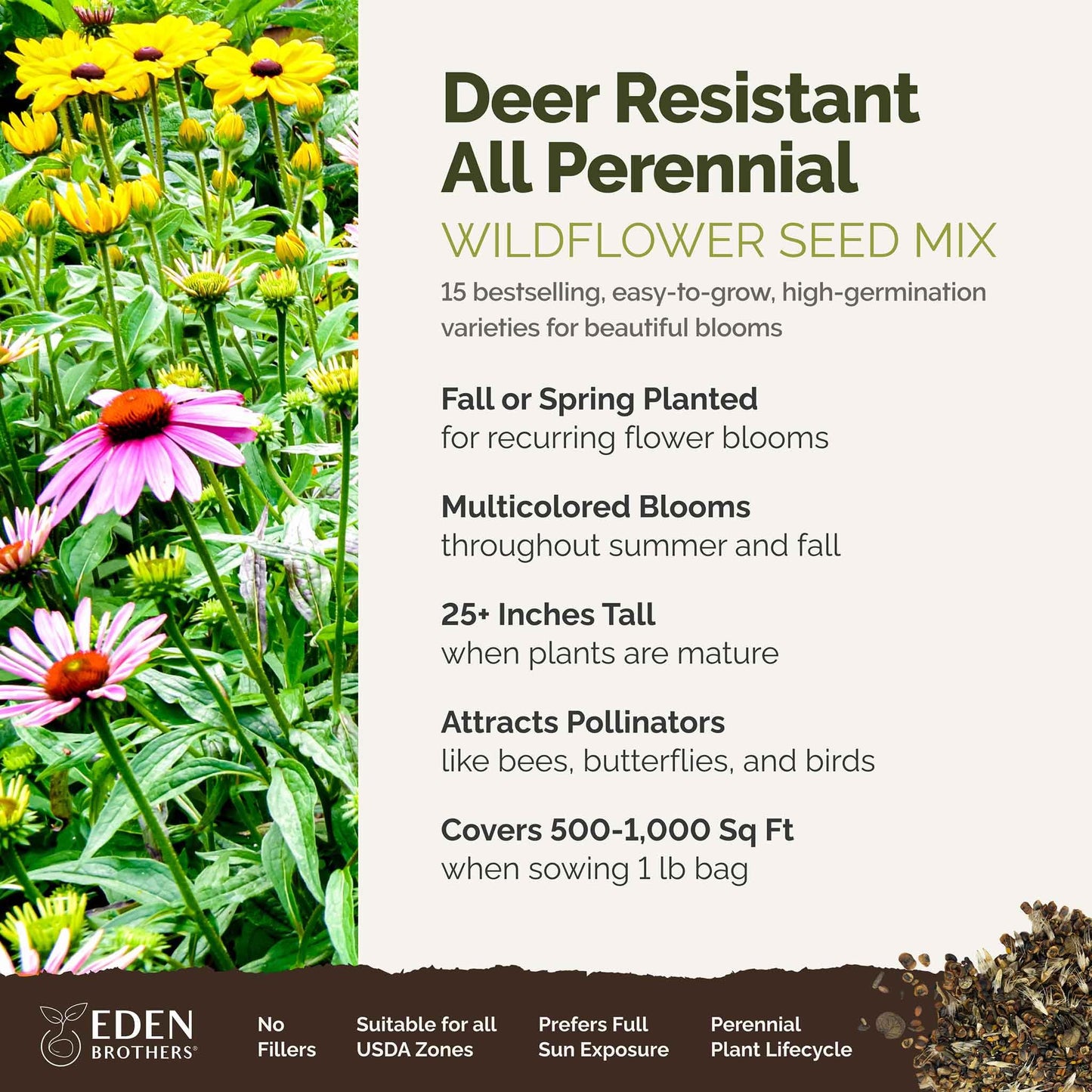 Eden Brothers All Perennial Wildflower Mixed Seeds for Planting, 1/4 lb, 120,000+ Seeds with Lupine, Shasta Daisy | Attracts Pollinators, Plant in Spring or Fall, Zones 3, 4, 5, 6, 7, 8, 9, 10